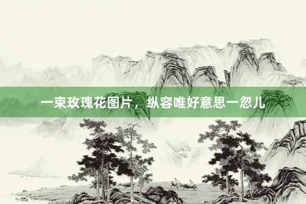 一束玫瑰花图片，纵容唯好意思一忽儿